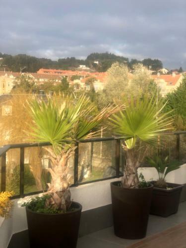 Apartamento �tico Sanxenxo