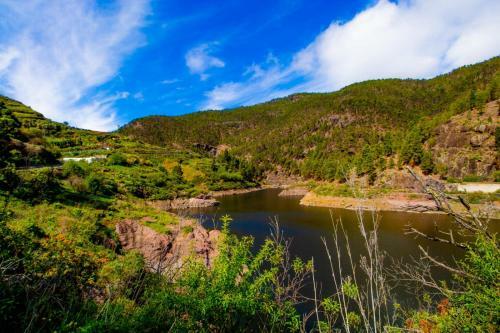 Apartamento Cozy House Agaete Valley
