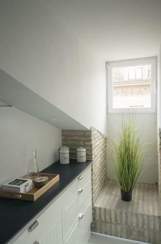 Apartamento �tico La Mejana