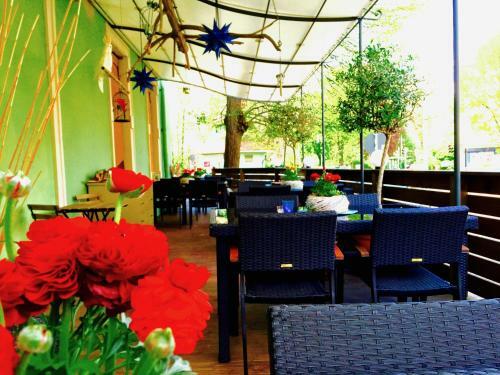 Hostal Pension 'zu Den Linden'