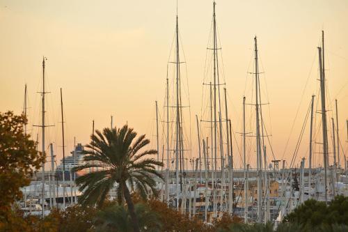 Hotel Palau Sa Font