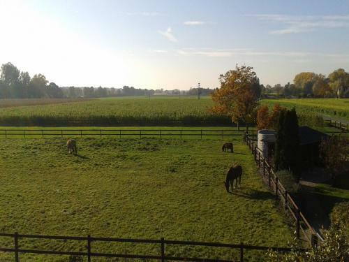 Apartamento Ferienhof Schattmann
