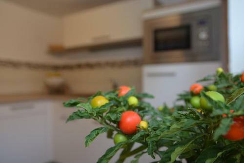 Apartamento Ferienwohnung Arnold