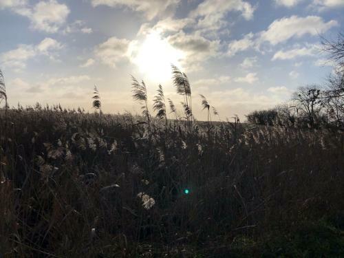 Apartamento Refugium Raabenhorst Im Landhaus Am Haff