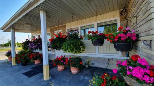 Haven Motel