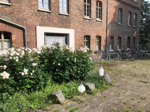 Apartamento Nr9marinehafen