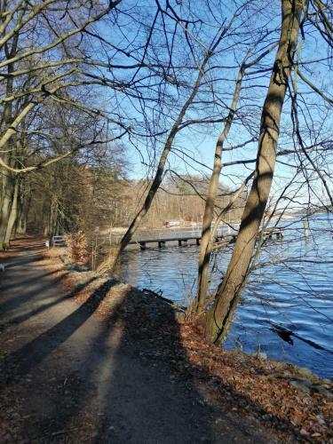 Haus "bl�cher" Tinyhouse Mobilheim