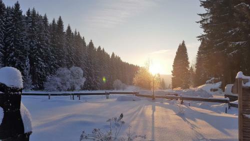 Hostal Pension & Gasthof "am Park" Ug