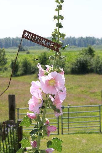 Apartamento Ferienwohnung Vogelsang