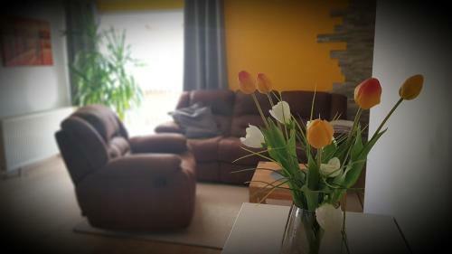 Apartamento Ferienwohnung Lehmann"am Domberg"