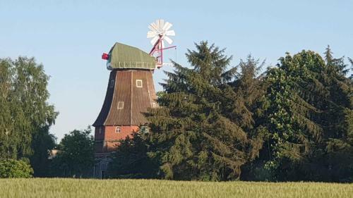 Apartamento Ferienwohnung Pension Nowotny