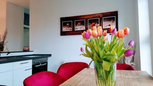 Apartamento Villa Appartements Syke