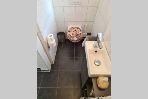 Apartamento Sympathische Ein-zimmer Wohnung (U-bahn Anschluss)