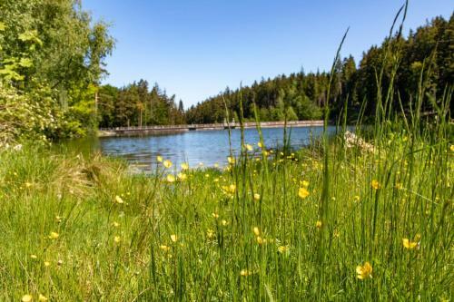 Apartamento Haus Am See