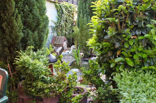 Hostal Pension- & Caf�garten Luisenhof