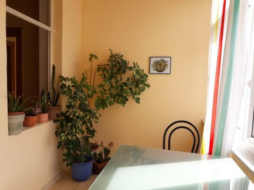 Apartamento Ferienwohnungen Vier Jahreszeiten