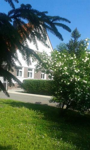 Apartamento Forsthaus Wegenerskopf