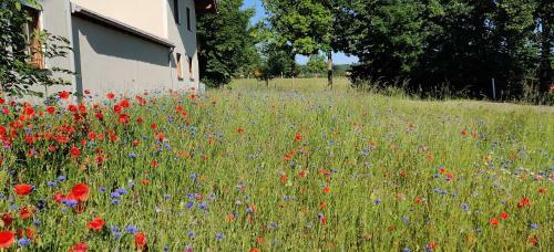 Apartamento Ferienwohnung Ponlach