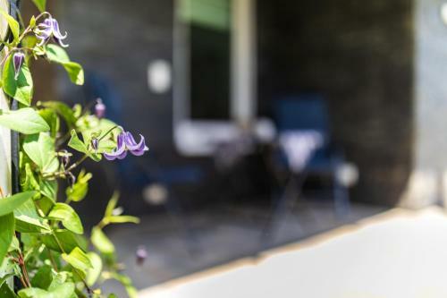 Apartamento Ferienwohnung Moselpanorama