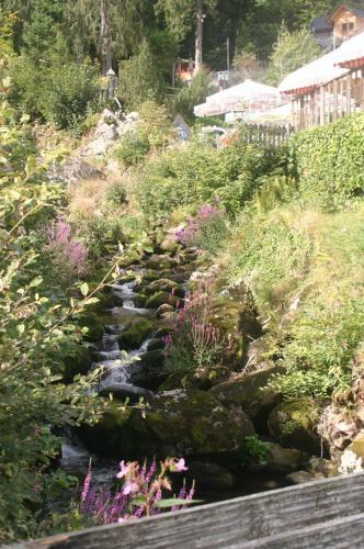 Hostal G�stehaus Zur Lilie