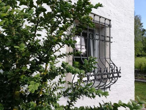 Apartamento Fahrenbach-alm