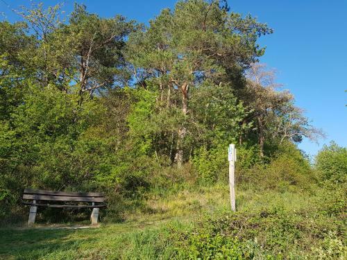 Apartamento Ferienapartment Im Augustinus Park