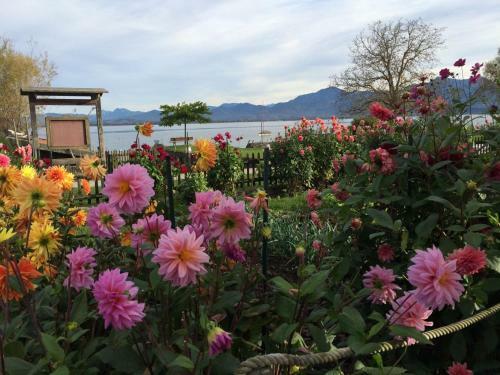 Apartamentos Genusszeit Am Chiemsee