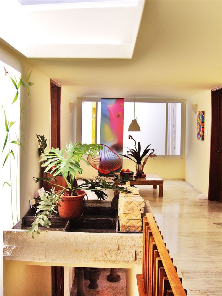Bed & Breakfast Casa Roa