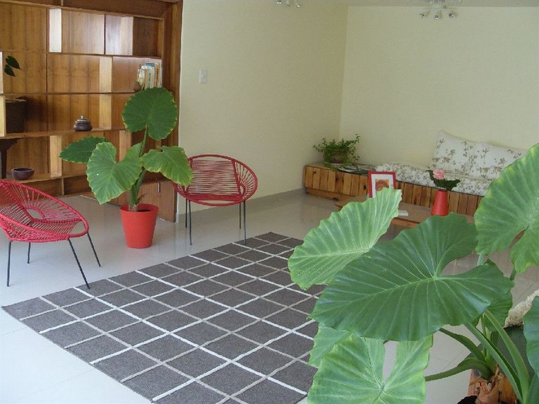 Bed & Breakfast Casa Roa