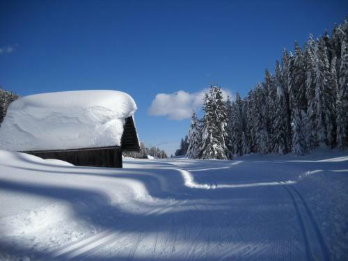 Hostal G�stehaus Maria