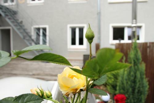 Wjh Apartmentvermietung