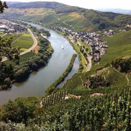 Apartamento 'ferienhaus Mosel'