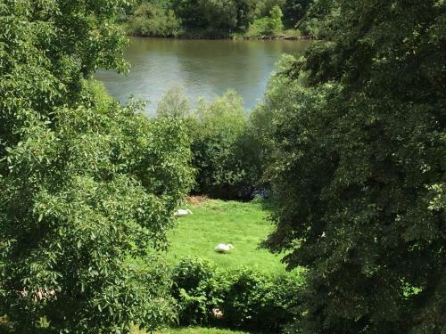 Apartamento 'ferienhaus Mosel'