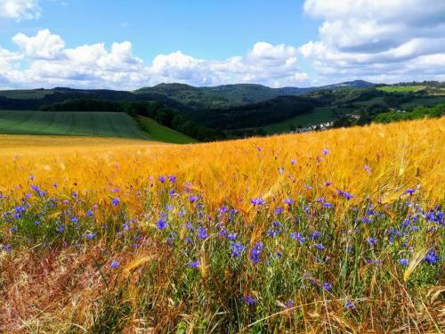 Apartamento Ferienwohnung Heideblick