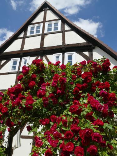 Apartamento Sch�ner Wohnen In Volkmarsen