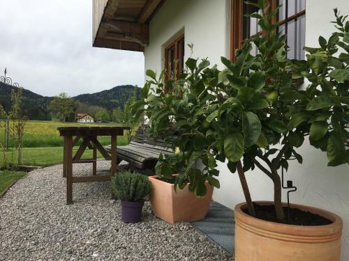 Apartamento Ferienwohnung Sundratn