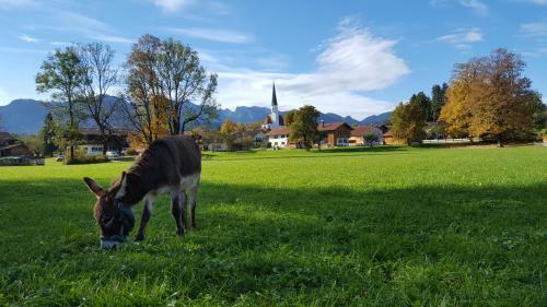 Apartamento Ferienwohnung Sundratn