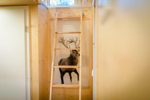 Apartamento Tiny House - Apfel