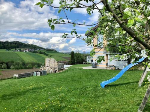 Apartamento Ferienwohnung Mintbraun