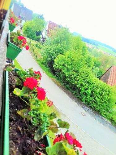 Albergue Hotel Burgberg