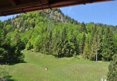 Apartamento G�stehaus Bergkristall