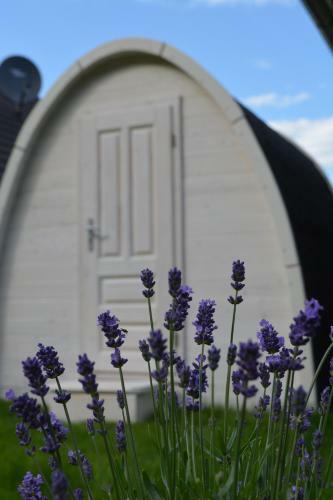 Kapit�nshaus Zerpenschleuse Holiday Chalet