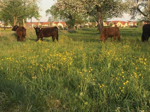 Agroturismo Ferienhof Weber Nieratz