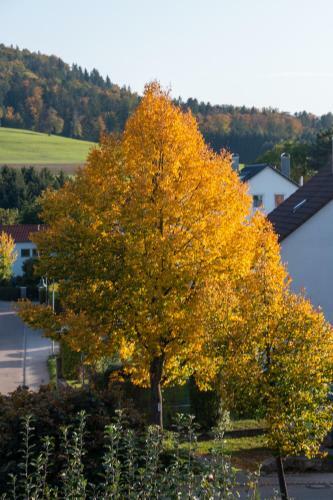Apartamento Penthouse W�schenbeuren