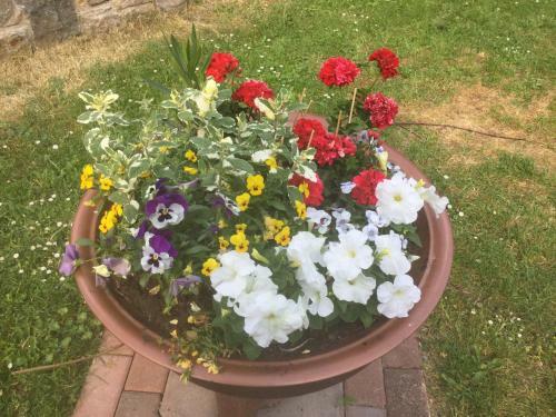Apartamento Fw Sonnenschein