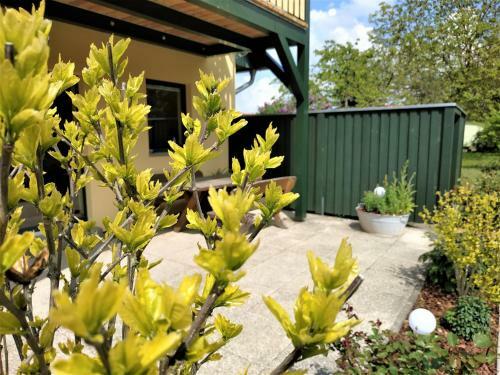 Apartamento Ferienwohnungen Am Seeufer 11