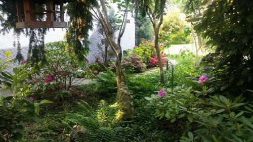 G�stehaus Am Weiher