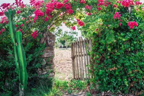 Apartamento Finca Rural Son Amer