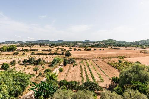Apartamento Finca Rural Son Amer