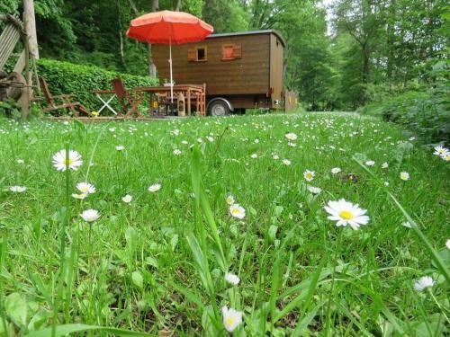 Bienenwagen Der Naturheilpraxis Melchger